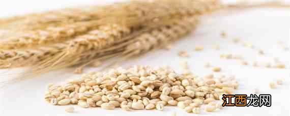 一亩地要多少麦种子 一亩地需要多少麦种