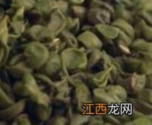 绿豆皮的功效与作用及药用价值 绿豆皮的功效与作用及药用价值禁忌