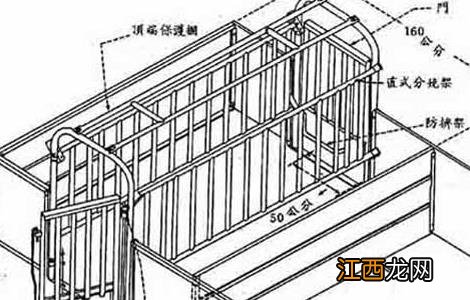 母猪定位栏安装示意图 母猪定位栏的安装