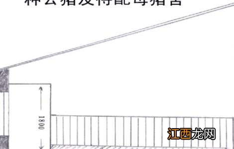 100头母猪养猪场设计图片 100头母猪养猪场设计图