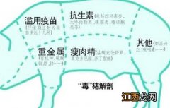 猪饲料中添加瘦肉精的危害是什么 猪饲料中添加瘦肉精的危害