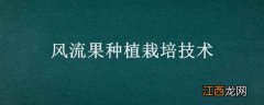 风流果种植栽培技术 风流果树苗养殖方法