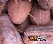 密本南瓜的药用价值与药用功效 蜜本南瓜营养价值