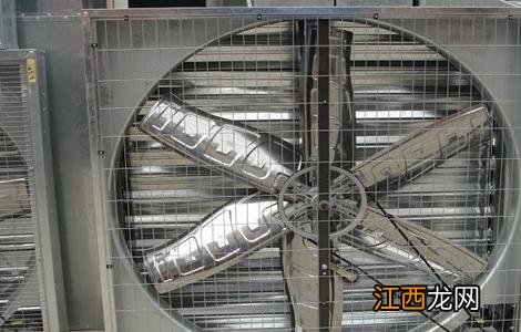 养鸡需要用到哪些设备 养鸡需要用到哪些设备和设备