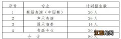 南京艺术学院2021艺术类招生计划 2021年南京市艺术小学招生名额+专业