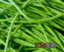 长豇豆的作用和功效 长豇豆的功效与作用