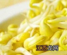 黄豆芽怎么发 在家自己发黄豆芽怎么发