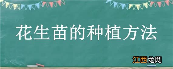 花生苗的种植方法与时间 花生苗的种植方法