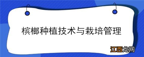 槟榔种植技术与栽培管理视频 槟榔种植技术与栽培管理