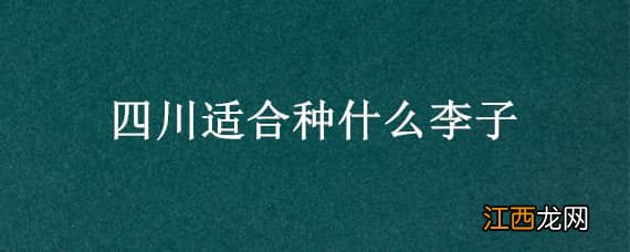 适合四川种植的李子品种 四川适合种什么李子