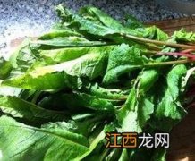 老萝卜菜叶怎么做好吃 萝卜菜叶怎么做好吃窍门