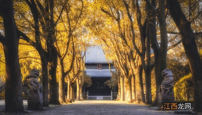 文学经典的特征和意义 文学经典的定义及其特征