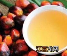 棕榈油的功效与作用 棕榈油的功效与作用及食用方法