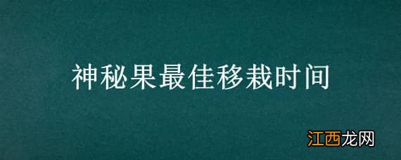 神秘果移栽后管理 神秘果最佳移栽时间