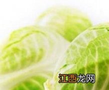 卷心菜的营养价值与功效作用 卷心菜的营养价值与功效