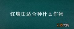 红壤田适合种什么作物 红土适合种什么经济作物