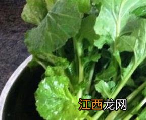 苔菜的营养价值与功效作用禁忌 苔菜的营养价值与功效作用