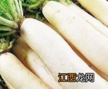 孕妇能吃白萝卜吗 孕妇能吃白萝卜吗中期