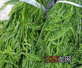 蕨菜和云龙菜的区别 龙须菜和蕨菜一样吗?