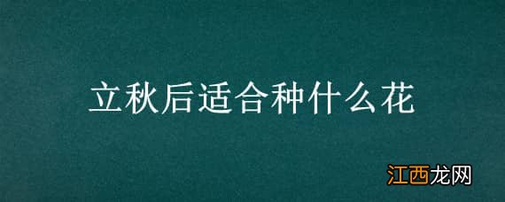 立秋后适合种什么花卉 立秋后适合种什么花