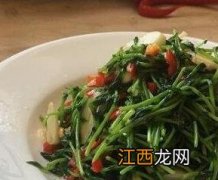 豌豆苗如何吃 豌豆苗如何吃法