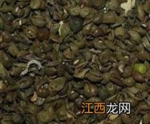 绿豆衣的功效及禁忌 绿豆衣的作用