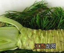 芥末的药用功效与作用 芥末的药用功效与作用及禁忌