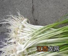 胡葱不能与什么同吃