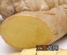 生姜的功效与作用与主治与用量 生姜的功效与作用