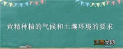 黄精的生长环境和土壤需求 黄精种植的气候和土壤环境的要求