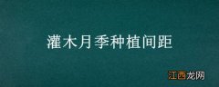 灌木月季种植间距 灌木月季种植间距多少合适