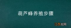 葫芦蜂养殖步骤 葫芦蜂养殖步骤视频