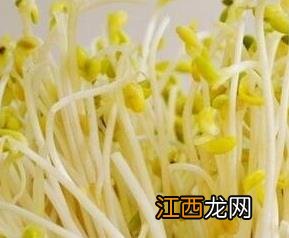 绿豆芽的营养价值 绿豆芽的营养价值与禁忌