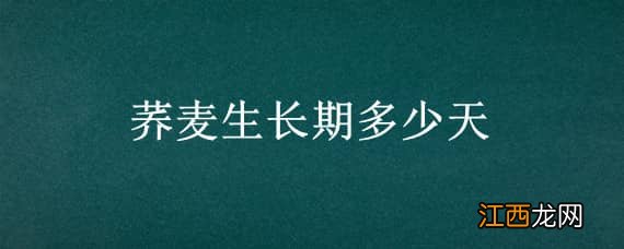 荞麦生长期多少天 荞麦生长期多少天广东