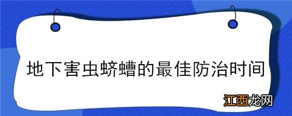 地下害虫蛴螬的最佳防治时间 地下害虫防治方法及注意事项