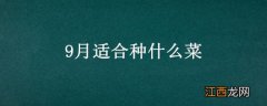 9月适合种什么菜 7.8.9月适合种什么菜