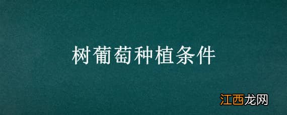 树葡萄种植条件 树葡萄种植要求