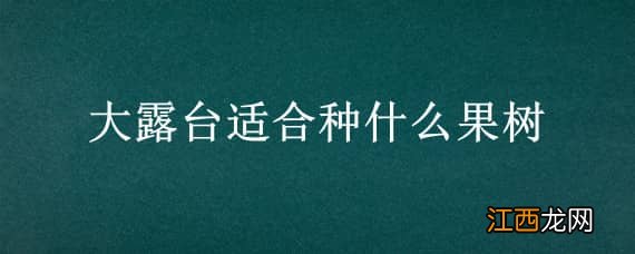 露台上适合种什么果树 大露台适合种什么果树