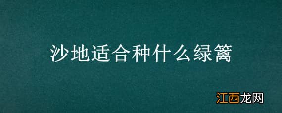 沙地适合种什么绿篱 沙土地适合种什么绿化树种