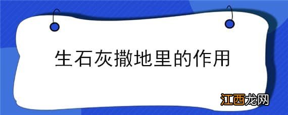 生石灰撒田里起啥作用 生石灰撒地里的作用