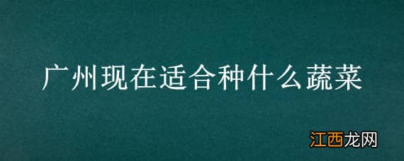 广州这个季节适合种什么蔬菜 广州现在适合种什么蔬菜