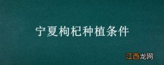 宁夏枸杞种植条件和方法 宁夏枸杞种植条件