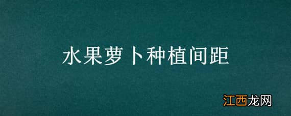 水果萝卜种植间距 水果萝卜株距