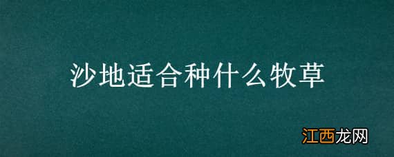 沙地适合种什么牧草 沙地适合种植什么牧草