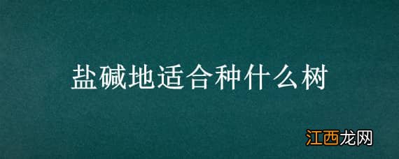 盐碱地适合种什么树 盐碱地适合种啥树