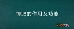 钾肥的作用及功能主治 钾肥的作用及功能