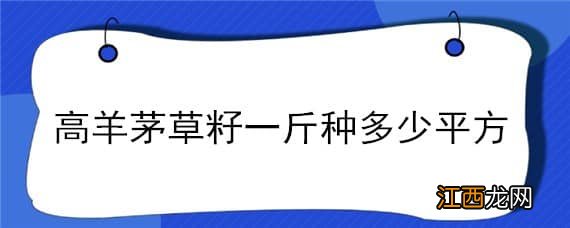 高羊茅草籽价格多少钱一公斤 高羊茅草籽一斤种多少平方