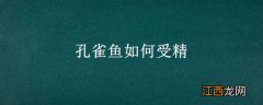 孔雀鱼如何受精 孔雀鱼怎么人工受精