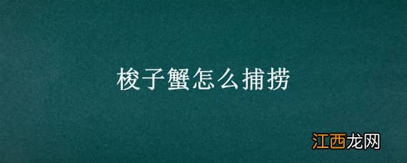 梭子蟹怎么捕捞 梭子蟹捕上来怎么活