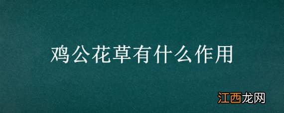 野生黄花草 鸡公花草有什么作用